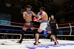 20231112_10_potewao_a02