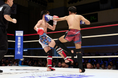20231112_10_potewao_a05