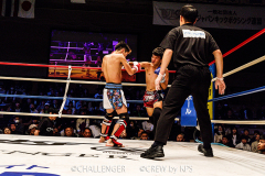 20231112_10_potewao_b01
