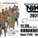 11月30日(日) Challnger11 大会情報